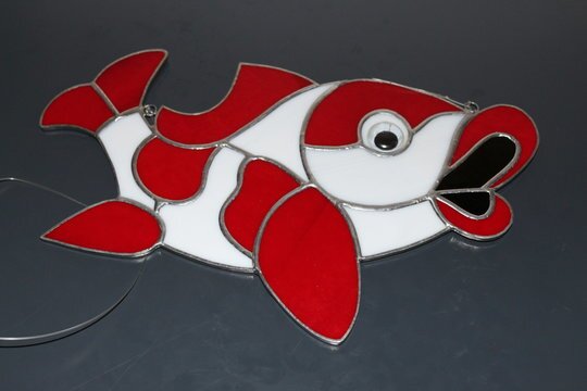 Koi Karpfen